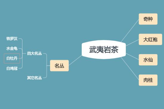 武夷巖茶品種大全，巖茶有幾種？