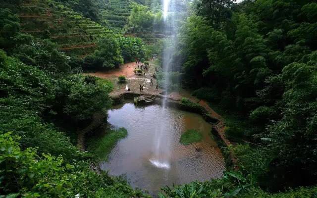 武夷山為什么盛產(chǎn)茶葉，武夷山茶為什么好喝？
