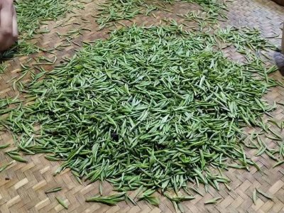 金駿眉幾年可以算陳茶，金駿眉新茶好還是老茶