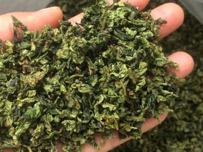 鐵觀音毛茶茶梗可以泡水喝嗎，鐵觀音帶梗是不是好茶？