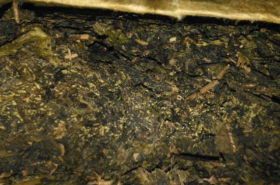 黑茶茯茶保存五大忌，茯茶收藏的注意事項