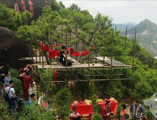 宋種一號(hào)價(jià)值為什么高，鳳凰單樅宋種1號(hào)價(jià)格與產(chǎn)量多少？