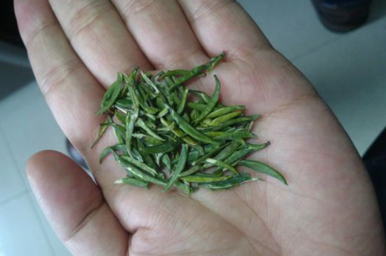 竹葉青茶怎么泡，竹葉青如何沖泡