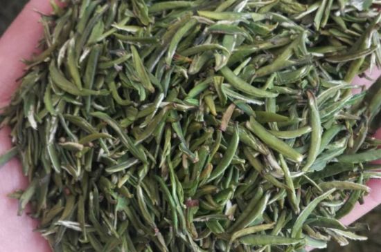 金壇雀舌算不算好茶，金壇雀舌屬于什么檔次茶葉？