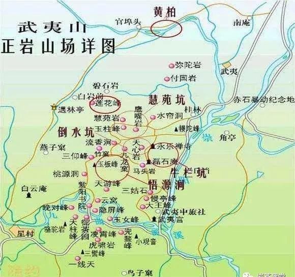 肉桂茶和大紅袍哪個貴，武夷山肉桂與大紅袍的價格比較