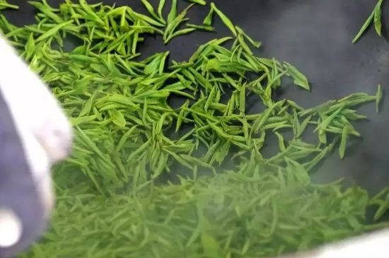 碧螺春為什么泡水渾濁，碧螺春茶葉泡水感覺(jué)很臟是混濁的