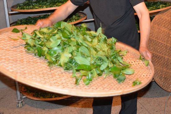 鐵觀音加香精騙局，鐵觀音的香味是添加香精了嗎？