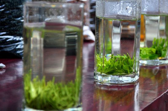 綠茶放了三年還能喝嗎，綠茶放久了喝了會怎樣