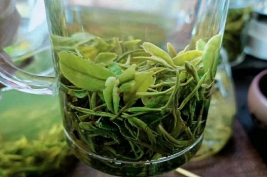 什么綠茶味道濃香，那個(gè)綠茶比較濃香？