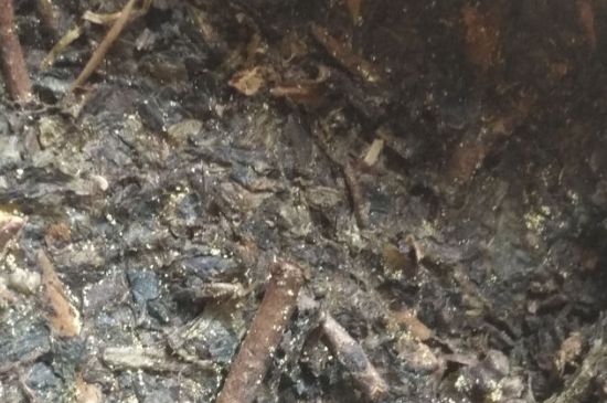 黑茶茯茶保存五大忌，茯茶收藏的注意事項