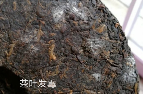 西湖龍井茶毫和發(fā)霉區(qū)別圖片，長霉的龍井茶葉會(huì)是什么樣？
